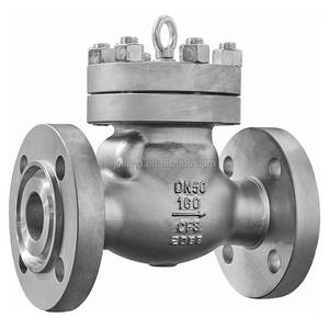 Rückschlagklappe - Kohlenstoffstahl Edelstahl Messing Rückschlagventil ASME Geflanscht GB Standard Industrielles Rückschlagventil - Product Image 1