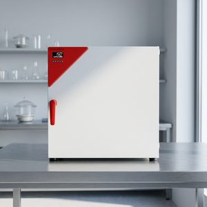 Incubateur à bain sec Binder FD115 avec chambres de séchage et de chauffage, convection à air forcé, capacité 115L, construction métallique - Product Image 3