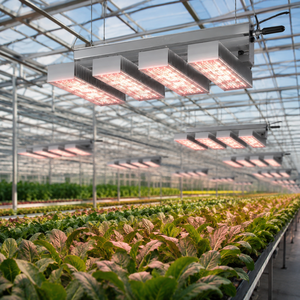 Luces LED de Cultivo de Alto Rendimiento de 520w 660w 880w 1040w <span class=keywords><strong>1210w</strong></span> IP66 con Parte Superior de Aluminio para Invernadero - Product Image 5
