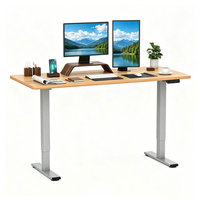Bureau assis-debout économique à double moteur, réglable en hauteur sur 2 niveaux, pour le bureau à domicile