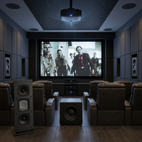 Enceintes de scène haute puissance, idéales pour les systèmes audio lors de fêtes, dans les bars, sur les scènes et dans les cinémas. Système audio de niveau professionnel