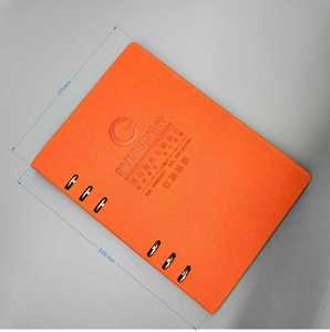 Livre d'échantillons de promotion d'étiquettes adhésives professionnelles |   Étiquettes imprimées en offset sur papier d'art avec marquage à chaud |   Économisez du temps et des coûts d'échantillonnage - Product Image 2