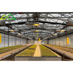 Invernadero con Sistema de Iluminación de Cultivo <span class=keywords><strong>HPS</strong></span>, Lámpara de Sodio de Alta Presión para el Cultivo Comercial de Plantas - Product Image 2