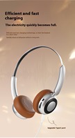 Auriculares Nuevos 2025 con Cancelación de Ruido ANC, Auriculares Supraaurales Inalámbricos de Fábrica OEM 5.3 Cat Beat