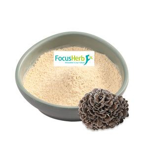Extracto De Seta Maitake en polvo FocusHerb US almacén stock - Product Image 1