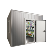 Personalizado precio bajo 380V Cryo Cold Room Freezer Room Cámaras frigoríficas para la venta