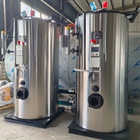 Generator Uap Otomatis Vertikal Berbahan Bakar Pelet Biomassa LHS Industrial 150kg/jam 200kg/jam 300kg/jam untuk Sterilisasi Pengolahan Makanan
