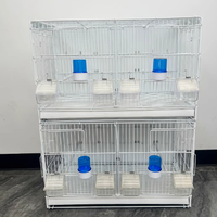 Cage à oiseaux de reproduction de haute qualité, nouveau style, solide, design moderne en fil de fer PP, respirante, disponible en noir et blanc, avec plateau en plastique.