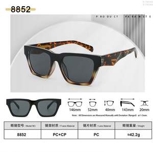 Gafas de Sol Personalizadas con Logotipo 2025, de Alta Calidad, para Hombre y Mujer, Protección UV400, Montura Pequeña, Estilo Ojo de Gato - Product Image 5