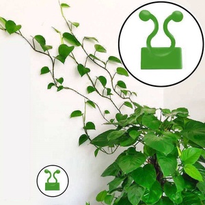 Plant Climbing Wall Clip Wholesale Plastic Self-Adhesive Plant Support Plant Climbing Wall Plant Clip