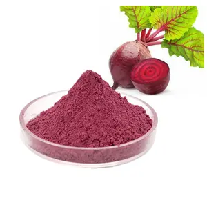 Best price 20:1 red beet root beetroot juice extract powder organic food grade 107-43- 7 beetroot powder