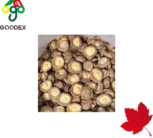 Выбранные высококачественные сушеные грибы шиитаке
