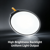 Module d'écran LCD TFT rond de 1,6 pouce avec rétroéclairage LED haute luminosité blanc pour montre connectée et affichage portable