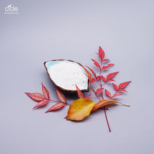 Bubuk Asam Alginat 9005-32-7 Bubuk Natrium Alginat Kelas Farmasi - Product Image 3