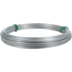 Cheap Price Manufacturer Directly Supplier Galvanized Steel Iron Wire for Building Wire