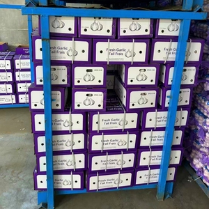 Ajo Chino de Alta Calidad y al Mejor Precio, Compre Ajo Chino en Cajas de 1kg, 5kg y 10kg, Precio de Venta - Product Image 1