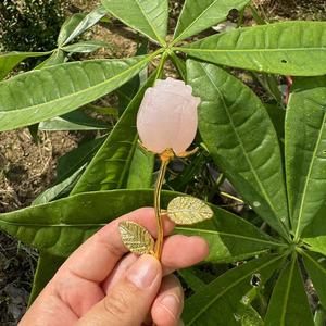 ดอกกุหลาบคริสตัลขนาด 3 ซม. สีเงิน ประดับคริสตัลไอน้ำ แกะสลักจากหินคริสตัลธรรมชาติ สำหรับบำบัดรักษา  คริสตัลรูปดอกกุหลาบสำหรับวันวาเลนไทน์ - Product Image 6