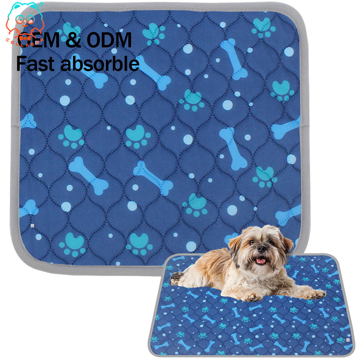 Cad Cam Cuando Un Perro Se Orina En La Cama Se Mea Porque Se Orina El