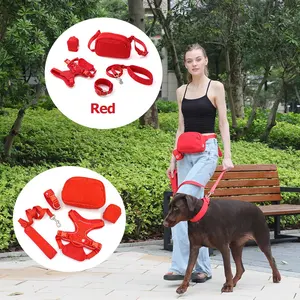 2024 çanta lüks kırmızı kadife pet yaka tasma köpek tasması ve tasma seti lüks köpek kaka torbası tutucu hizmet köpek yelekler koşum