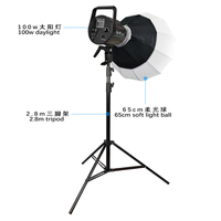 Photographie de lumière vidéo LED bicolore 100W avec kit d'éclairage vidéo Bowens Mount Lantern Softbox pour studio extérieur