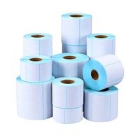 Autocollant d'étiquette portable de technologie de pointe adhésif en vinyle fort clair et résistant au plastifiant pour l'utilisation de l'appareil photo