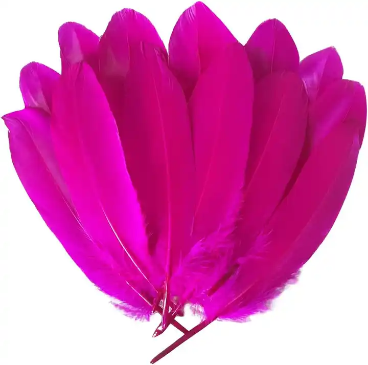 Rose Red Goose Feathers 6-8 Inch bulk Assorted Colorful Feathers