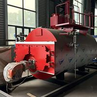 Chaudière industrielle à entretien facile WNS, appareil de chauffage rapide à eau chaude pour serre