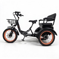 Tricycle électrique à assistance électrique de 20 pouces 750W avec différentiel, pour passagers et marchandises, pour adultes, trajets urbains et courses.