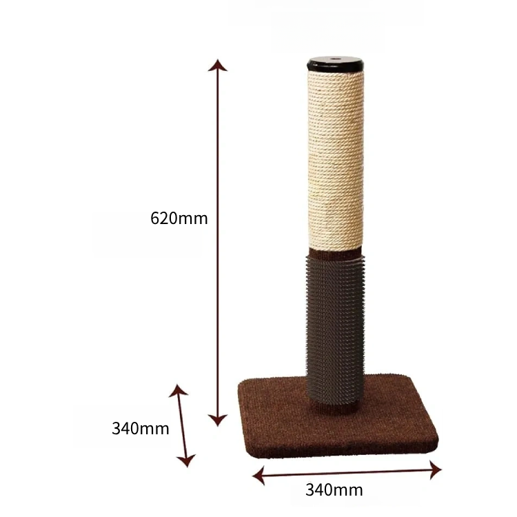 ไม่มีลูกบอลของเล่น