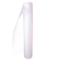 Film de transfert haute température TIS de haute qualité, 60 cm, double mat, pelable à chaud, film DTF pour impression sur vêtements