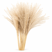 UKIQUEEN Herbe de la Pampa miniature stabilisée, petites fleurs de roseau pour arrangements de mariage bohème, décoration de vase à domicile et artisanat