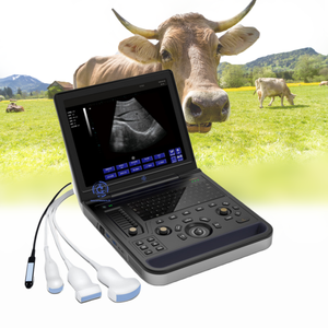 Mesin USG Laptop B Scanner Veteriner dan Manusia Harga Terjangkau - Product Image 1