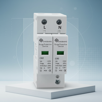 1P 2P 3P 4P 20KA 40KA AC SPD Parafoudre d'éclairage Parafoudre Dispositif de protection contre les surtensions