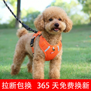 Harnais de poitrine réglable et respirant pour chiens de petite et moyenne taille avec design rembourré réfléchissant - Product Image 5