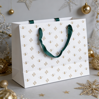 Sacs cadeaux en papier couché de luxe, sacs d'emballage pour le shopping avec poignées de transport pour bijoux, perruques, vêtements, chaussures, bougies