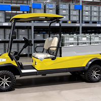 Carrito de Golf Multiusos para Propietarios de Granjas A617.H8 de 2 Plazas, Adaptado para Transporte de Alimentos y Cosecha de Cultivos, Doble Uso.