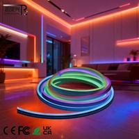 Bande lumineuse néon flexible TRXChina Factory CCT RGB personnalisée 0613 en silicone, étanche IP67, programmable, à LED