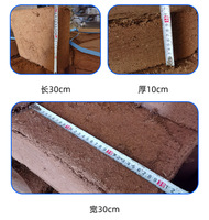 Briques de fibres de coco naturelles de 11 lb, substrat organique pour semis, culture hors-sol, écologique, agricole, Yandong