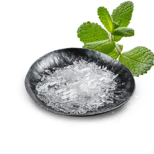 Polvo de cristal de mentol 1kg de precio hielo puro 100% grado alimenticio Natural CAS 89-78-1 fabricación muestra gratis entrega rápida