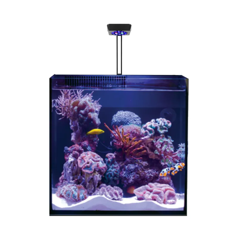 2023 MicMol Thor UV LED pencahayaan akuarium 60W untuk Reef SPS LPS lampu LED akuarium tangki ikan