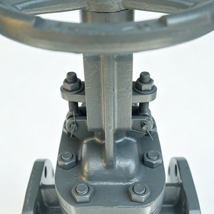 Vanne à opercule Z41H en acier au carbone à raccordement par bride PN16 à tige montante manuelle pour conduites industrielles eau et huile - Product Image 3