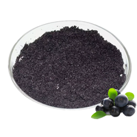 Poudre de baies d'açaï lyophilisées 100% naturelle, sans additifs