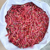 Vente en gros de piment rouge de qualité supérieure à bas prix, épices, herbes individuelles, piment de Cayenne, piment chili séché pour cuisinier