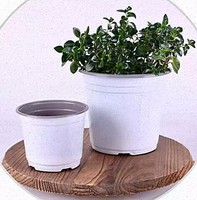 Pots de pépinière en plastique avec trous de drainage, pots ronds pour plantes, plateaux de semis pour plantes de jardinage