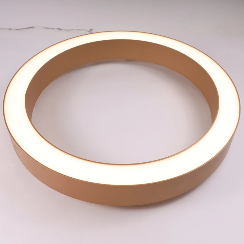 Indoor Lighting Modern Circular Ring Customized Bespoke Ceiling Lights ...