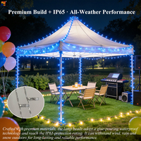 Rideaux lumineux LED RGB contrôlés par application avec télécommande, décoration de fenêtre de Noël personnalisée pour une utilisation intérieure et extérieure