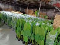 Arbre Bonsaï Artificiel Moderne de 120 cm, Écologique et Durable, Décoration de Mariage et de Maison, Plantes d'Intérieur en Plastique pour Jardin et Aménagement Paysager