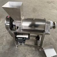 Pomelo RVS pulp-sapseparator aardbei moerbei grote industriële sapcentrifuge voor fruitverwerkingsbedrijf hoogwaardig
