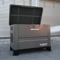 Générateur silencieux 14 kW 2 cylindres GNC ATS à démarrage automatique, double enveloppe, AVR, OEM ODM pour service continu