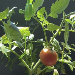 Jardinière suspendue intérieure/extérieure de style <span class=keywords><strong>moderne</strong></span> à taille personnalisée PP <span class=keywords><strong>YoYo</strong></span> avec corde antirouille et réglable Fourniture de jardin durable - Product Image 6